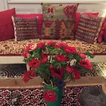 Maison Velvet